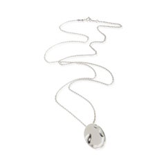 Tiffany & Co. Sterling Silver Elsa Peretti Zodiac Scorpio Pendant