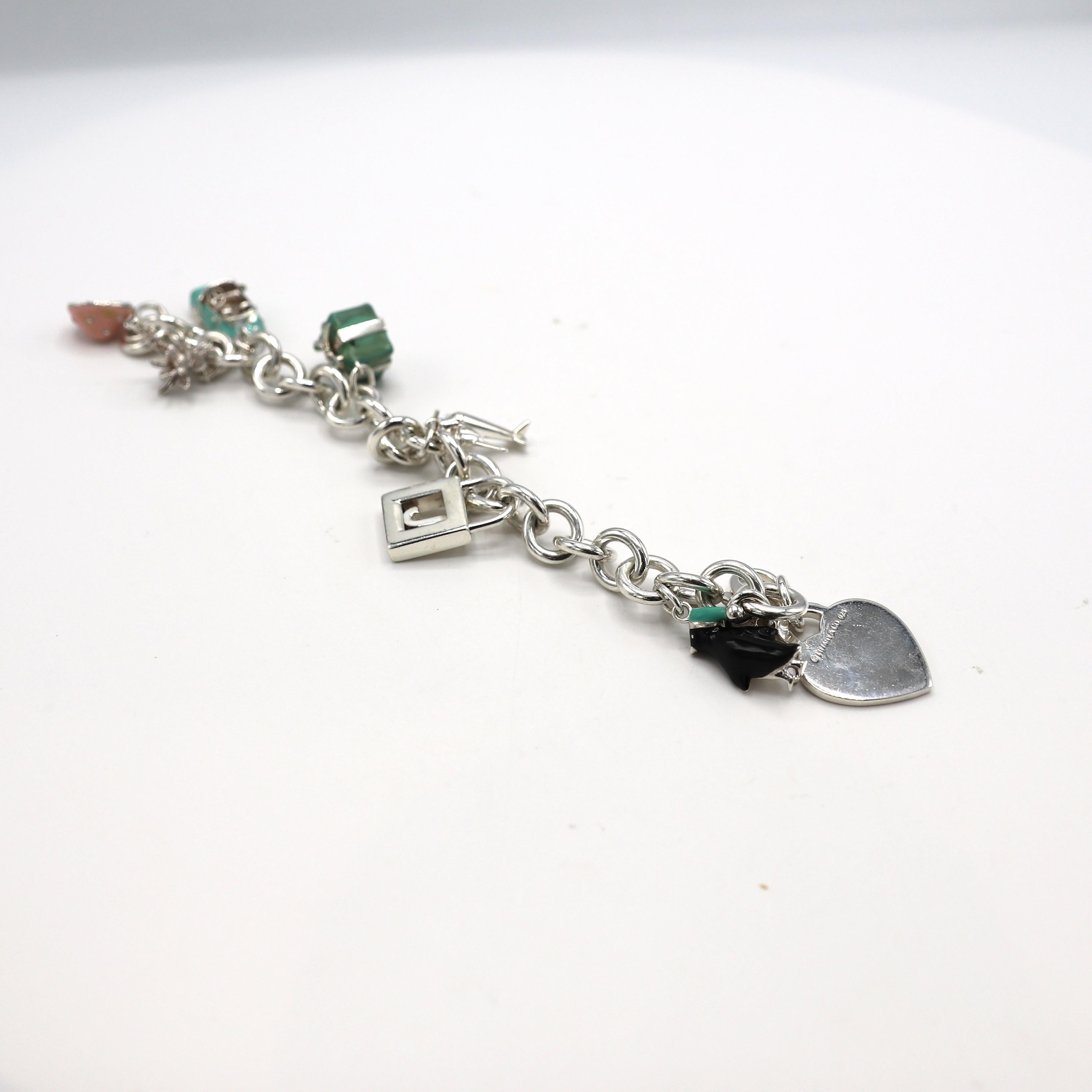Tiffany & Co. Sterling Silver Enamel Charm Link Bracelet 2