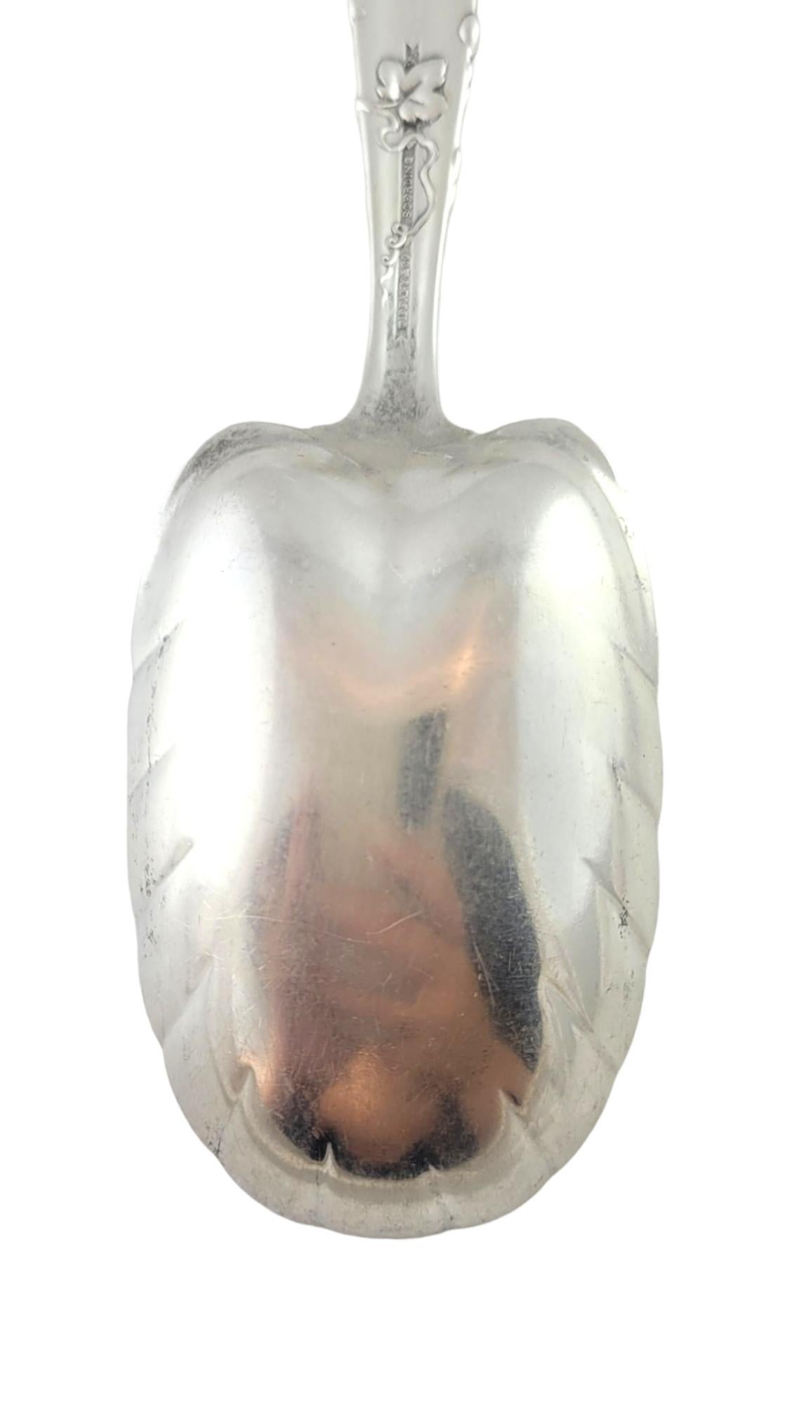 Tiffany & Co. Cucchiaio da conserva grande in argento Sterling Grape Vine #18041 in vendita 4