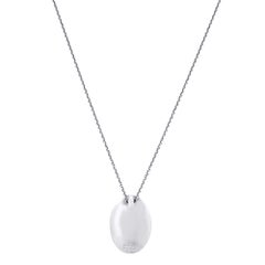 Tiffany & Co. Sterling Silver Libra Long Pendant Necklace
