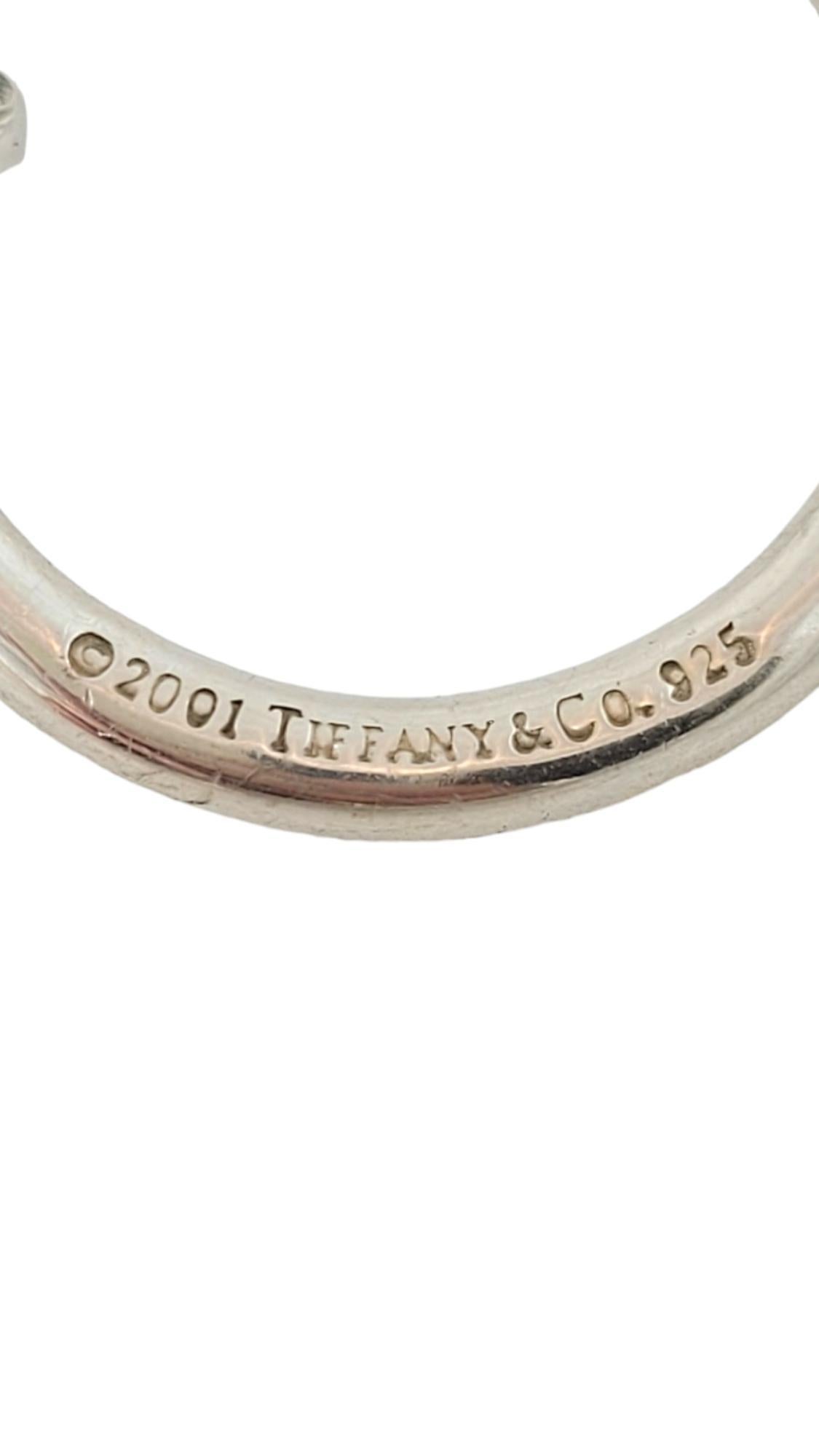 Tiffany & Co Sterling Silver Oval Tag Screwball Key Ring #17412 2