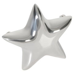 Tiffany & Co. Sterling Silver  Vintage Star Brooch