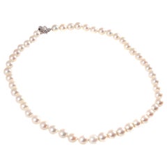 Tiffany & Co. Strand of Pearls