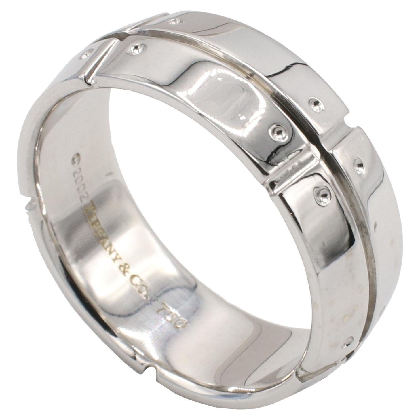 Tiffany & Co. Streamerica 18 Karat White Gold Band Ring For Sale