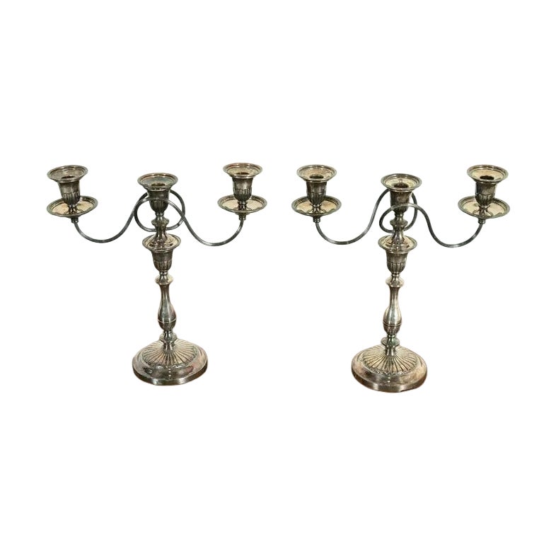 Tiffany & Co. Style Antique Victorian Silverplate Three-Light Candelabras, Pair For Sale