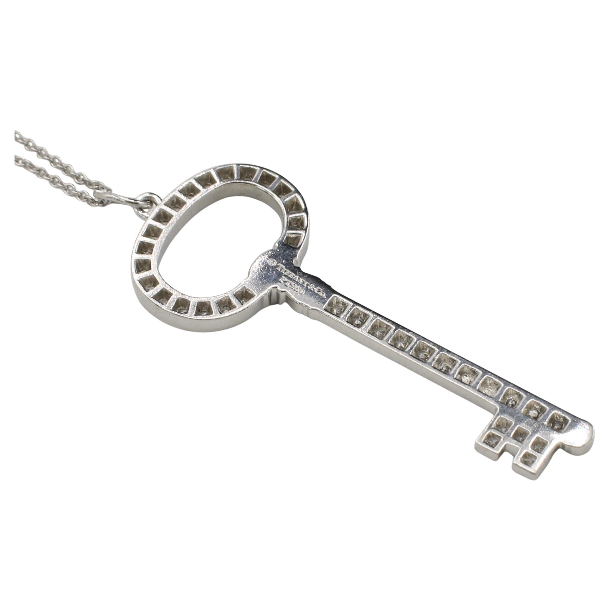 Modern Tiffany & Co. Tiffany Kets Platinum Natural Diamond Pendant Drop Long Necklace For Sale