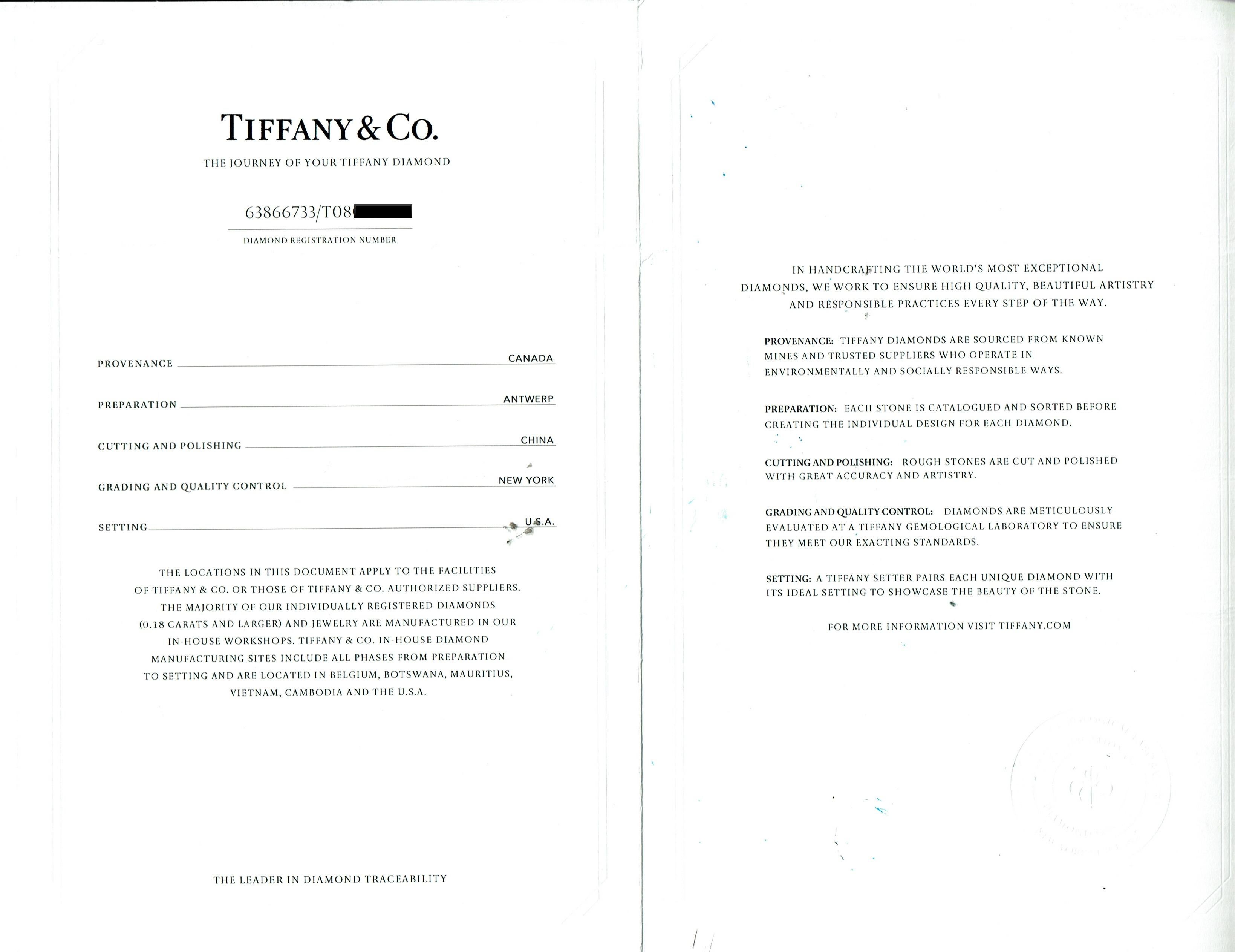 Tiffany & Co TRUE Platinum Diamond Engagement Ring  2.66 CTS G VS1 Retail $79.5K For Sale 12