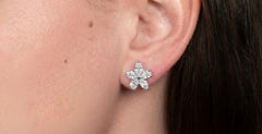 Tiffany & Co. Victoria Large Platinum Diamond Cluster Stud Earrings