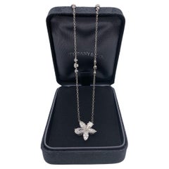 Tiffany Co Victoria Mixed Cluster extra large pendant on the chain PT950