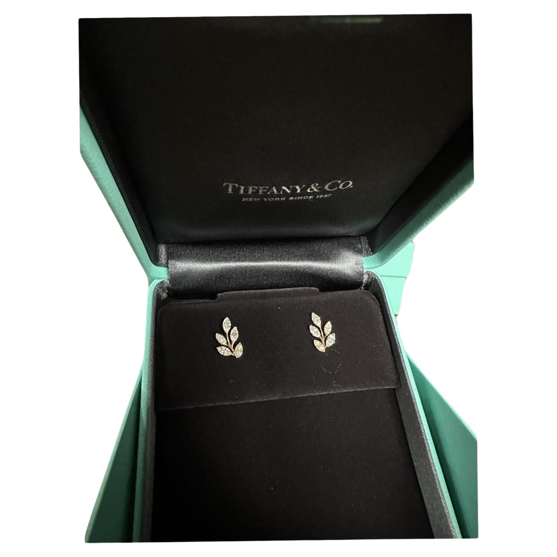 Tiffany Co Victoria Vine rose 18k gold earrings 