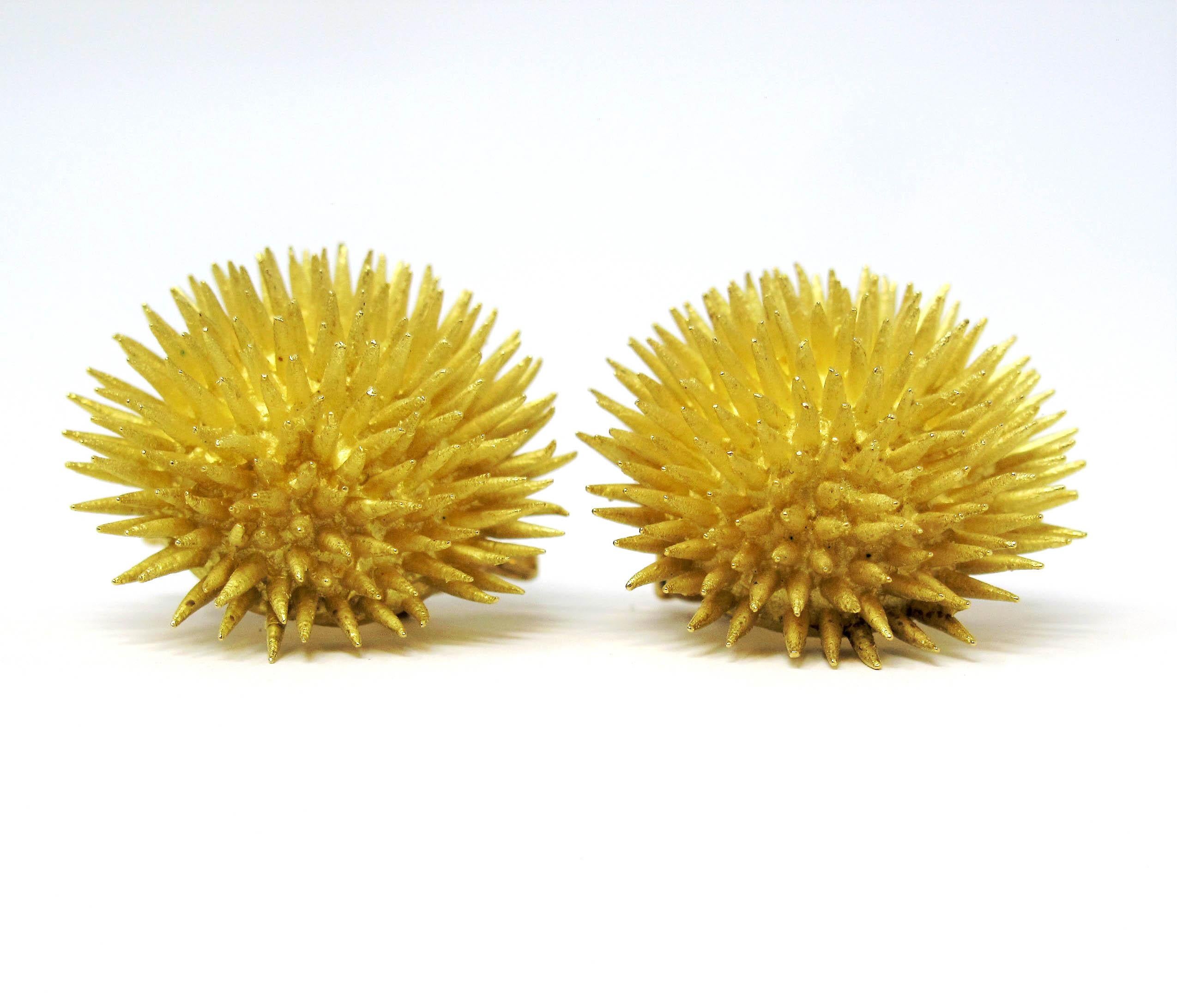 yellow sea urchin