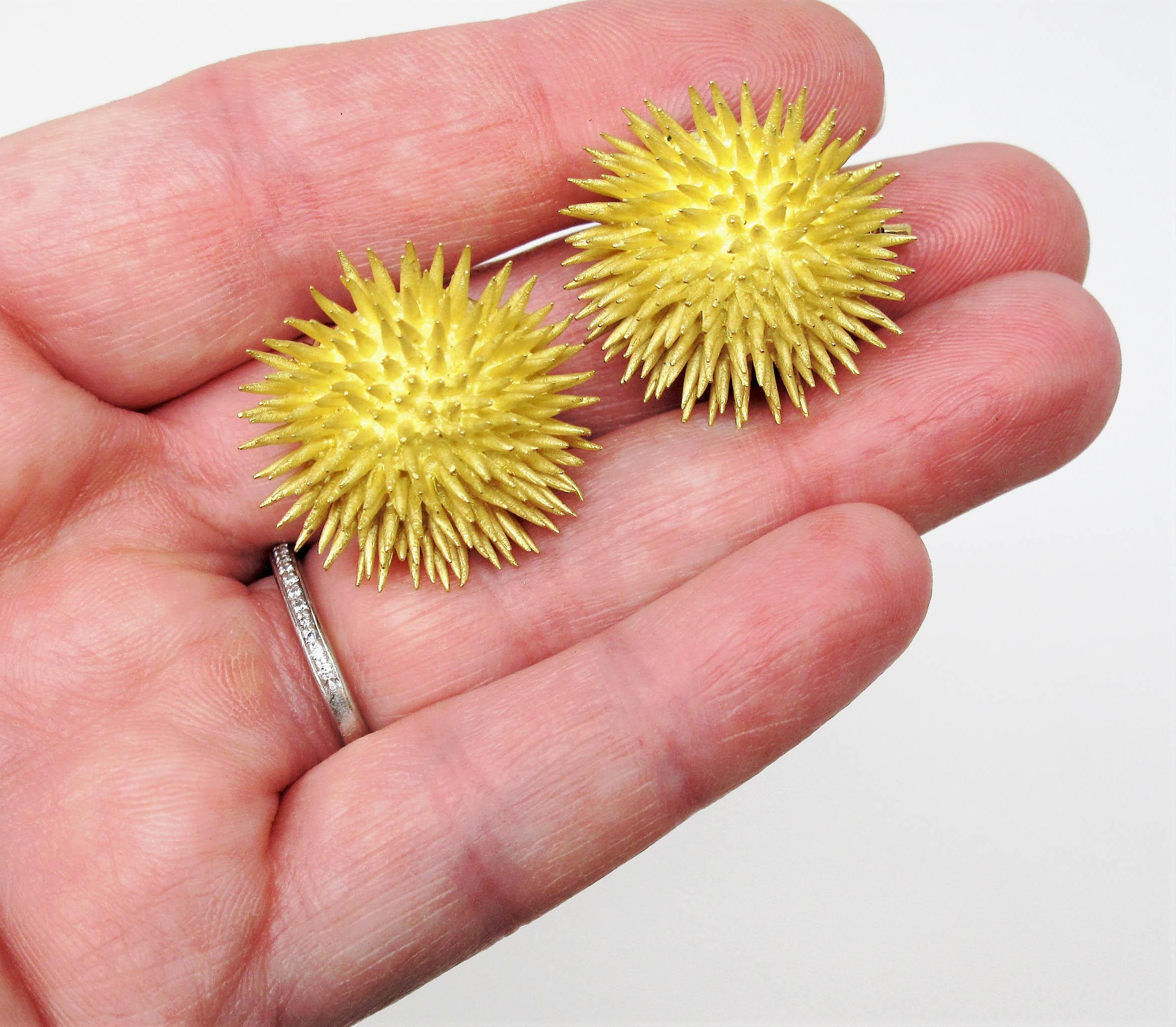 sea urchin yellow