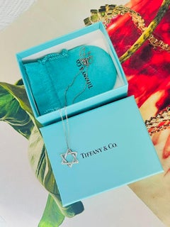 Tiffany & Co Vintage Elsa Peretti Large Star of David Hexagram Silver Necklace