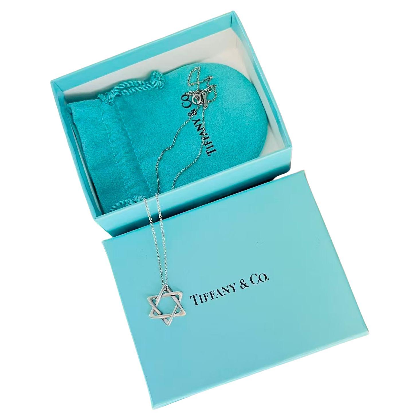 Tiffany & Co Vintage Elsa Peretti Large Star of David Hexagram Silver Necklace For Sale