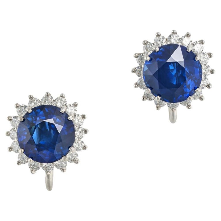 Tiffany sapphire earrings Clearance