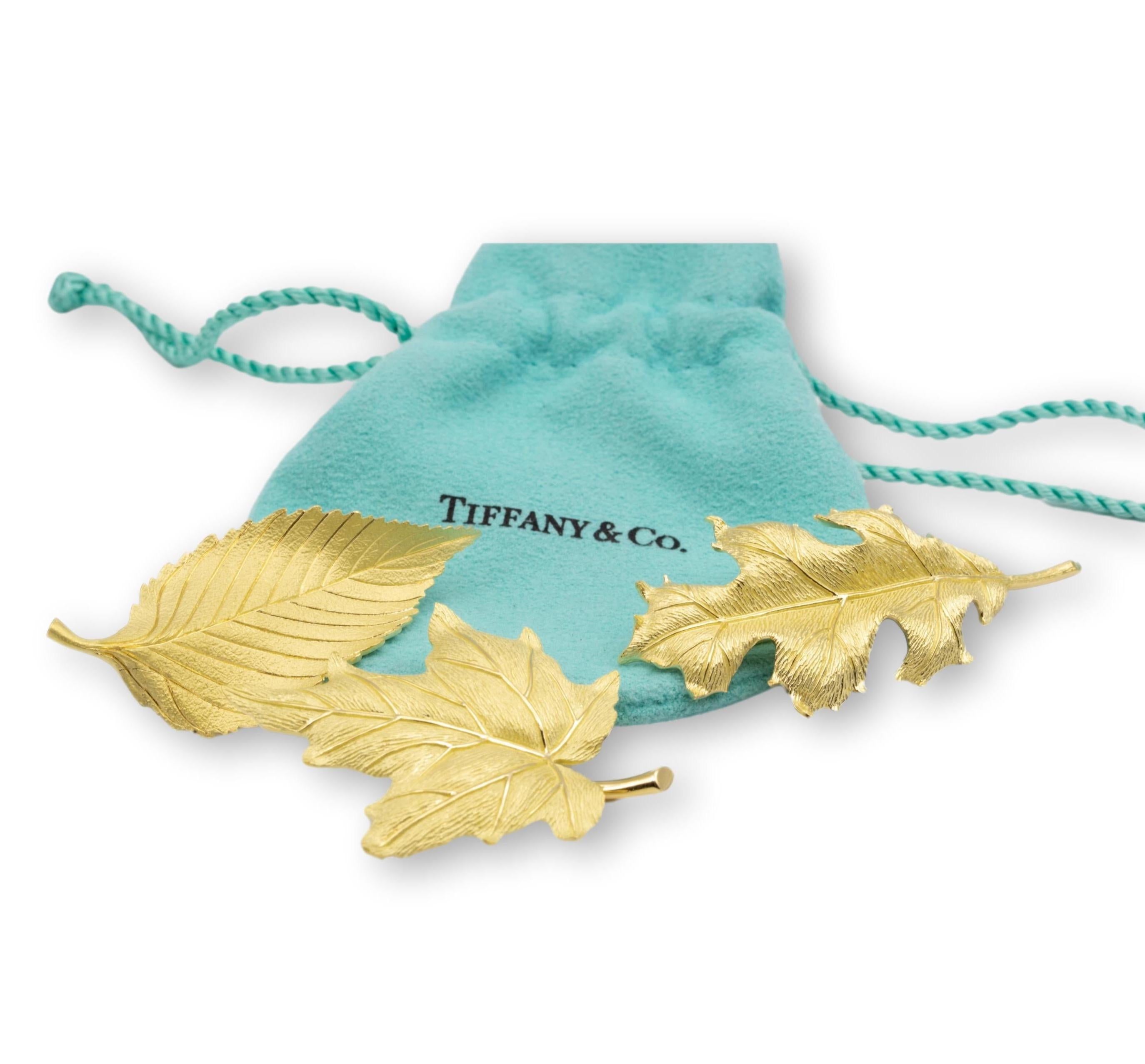 Set of 3 Vintage brooches by Tiffany & Co. finely crafted in 18 Karat yellow gold with a Florentine-matte finish (front) and high polish (back) delicately fashioned into a leaves theme of Sugar Maple , American Beech, and Red Oak