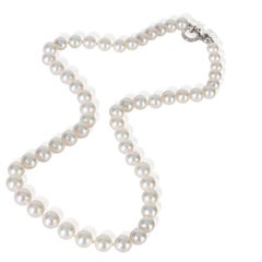 Tiffany & Co. White Gold Pearl Essential Necklace