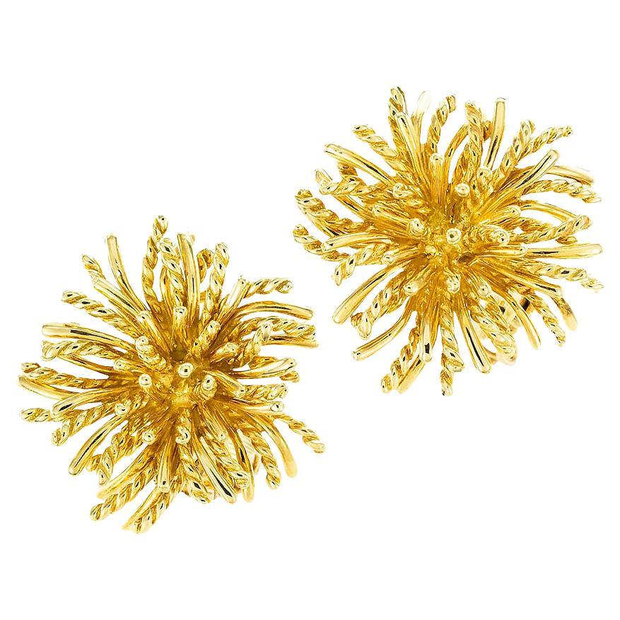 Tiffany & Co Yellow Gold Clip on Earrings