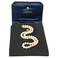 Beaded Necklaces