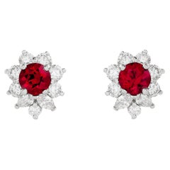 Tiffany & Company Clous d'oreilles halo en platine, rubis et diamants