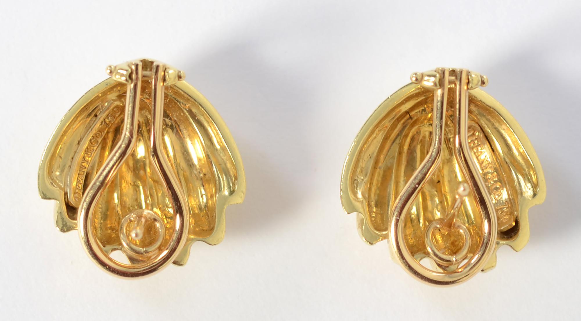 large gold shell earrings
