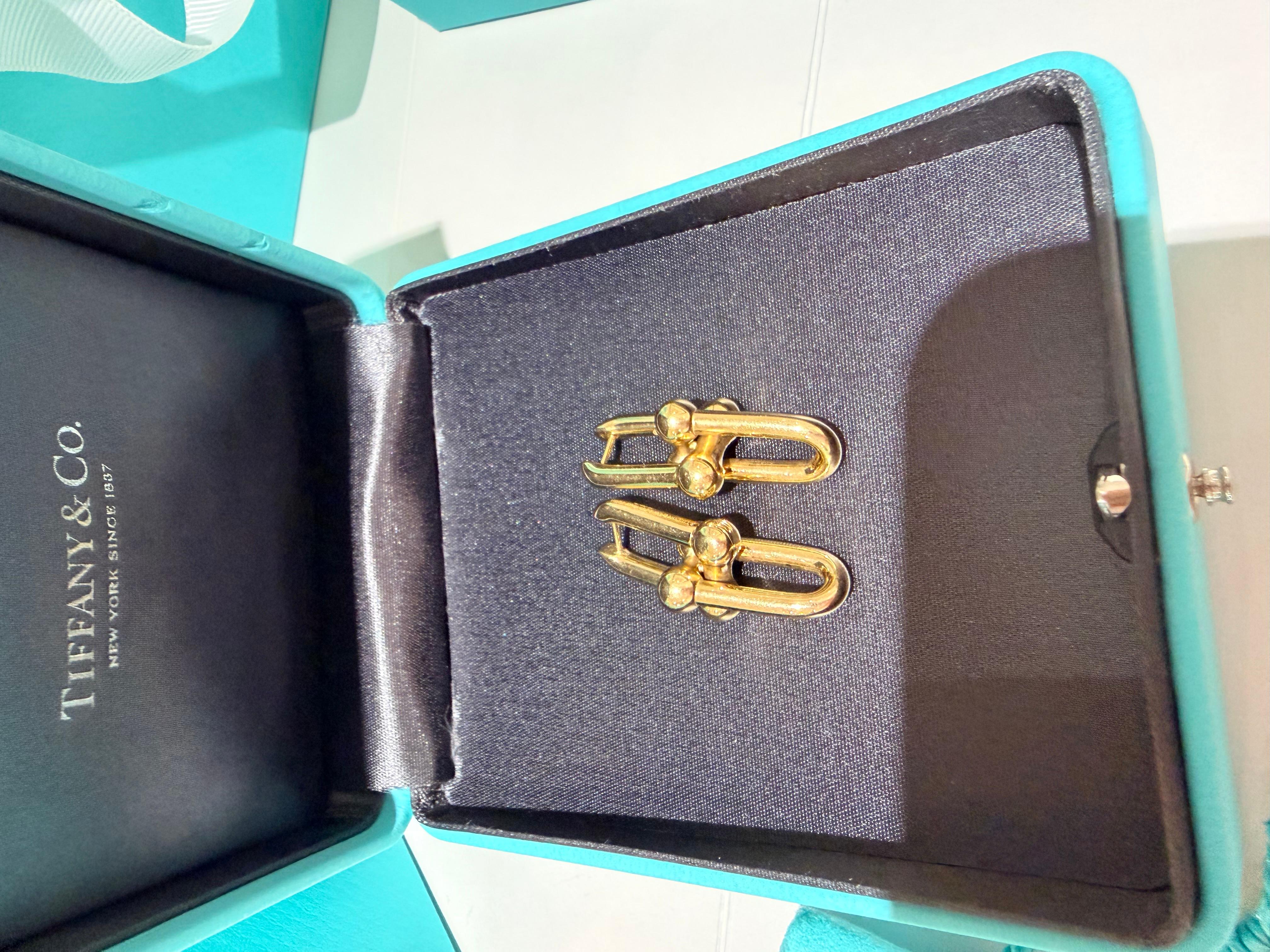 Tiffany HardWear - Orecchini grandi a Link in oro giallo
Caratterizzati dalla firma Tiffany, questi orecchini a doppia maglia lunga sono un'affermazione audace.
oro giallo 18k
Dimensione del link, grande
Peso	10.4 g
Lunghezza	3,5