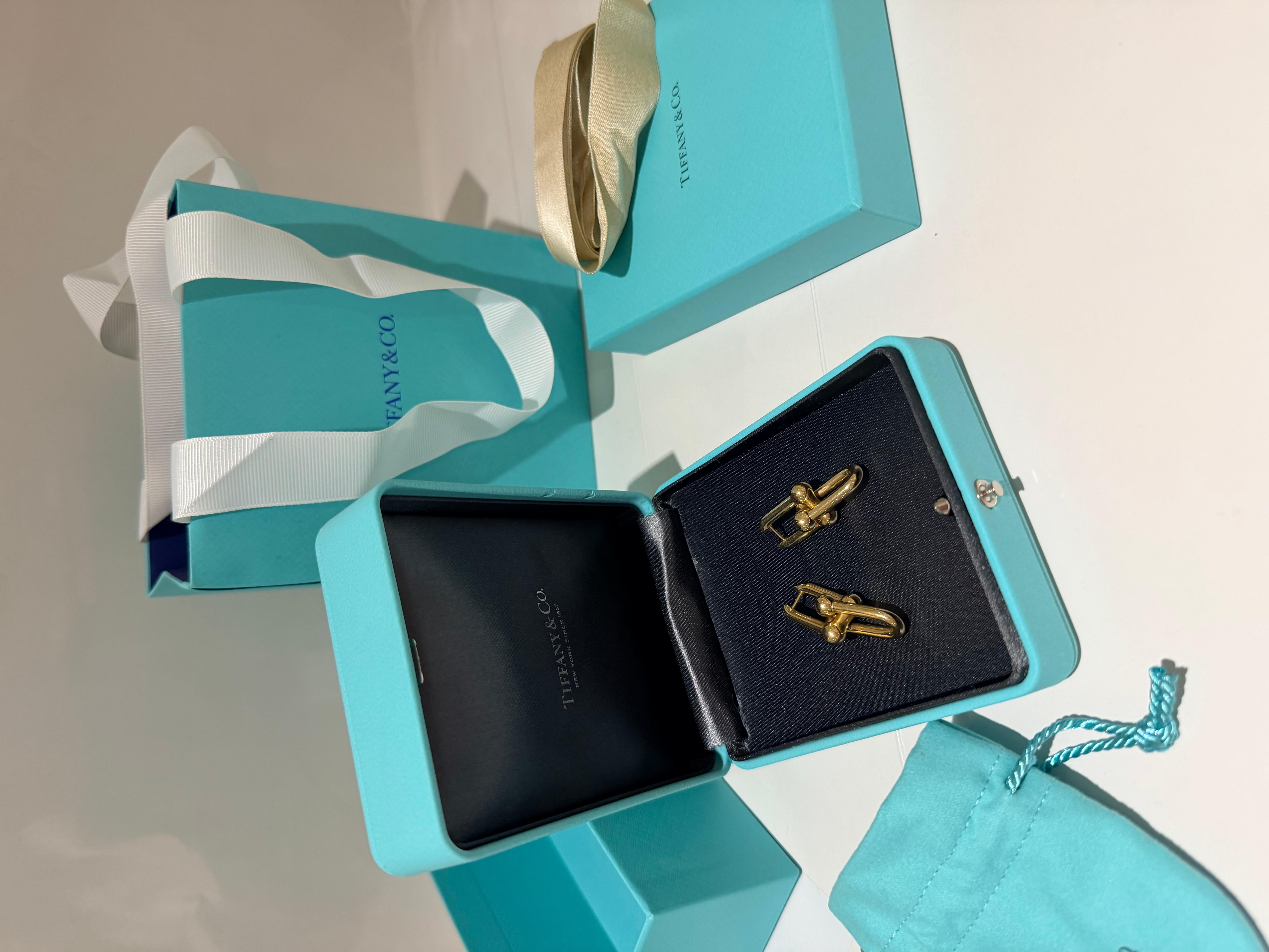 Contemporaneo Tiffany  Orecchini grandi A Link in oro giallo in vendita