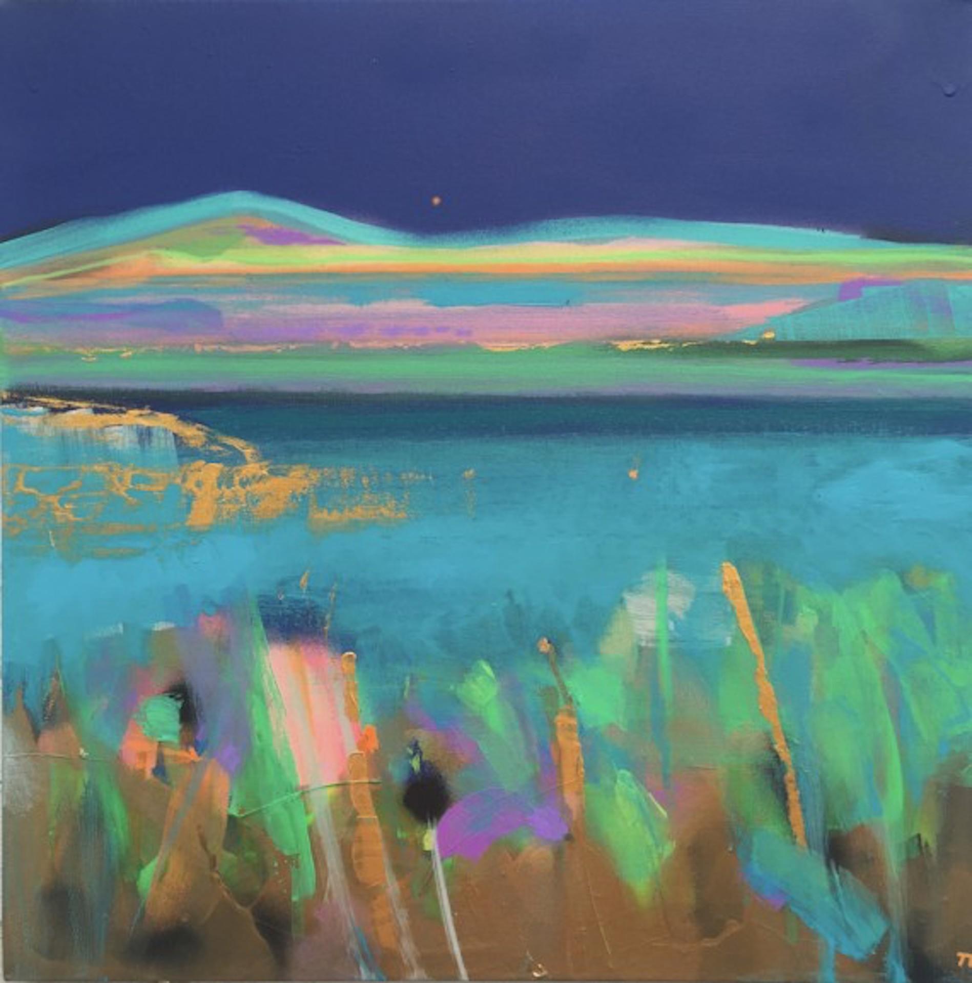 Loch Moon Sky Dip, Tiffany Lynch, Original Blue Abstract Landscape Painting