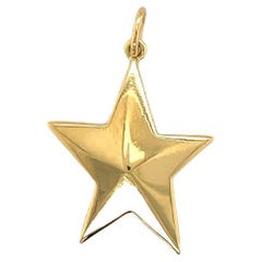 Tiffany & Co. Star Gold Charm