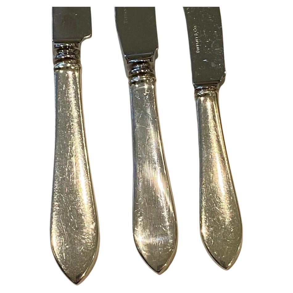 Tiffany Sterling Silver 79-Piece Flatware Set in Faneuil Pattern Art Deco For Sale 1