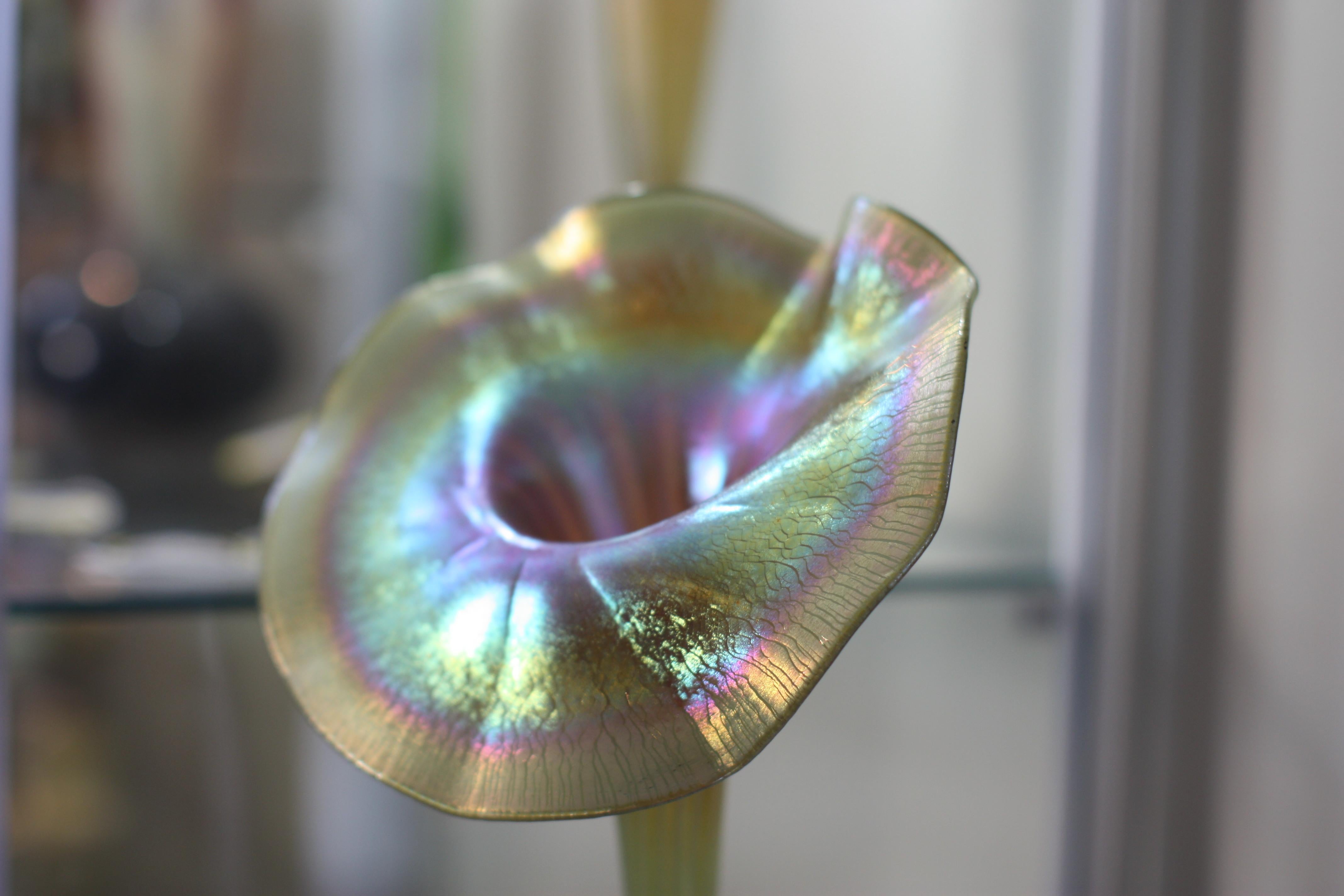 Vase en verre Tiffany Studios en forme de fleur en favrile « Jack-in-the-pulpit » en vente 5