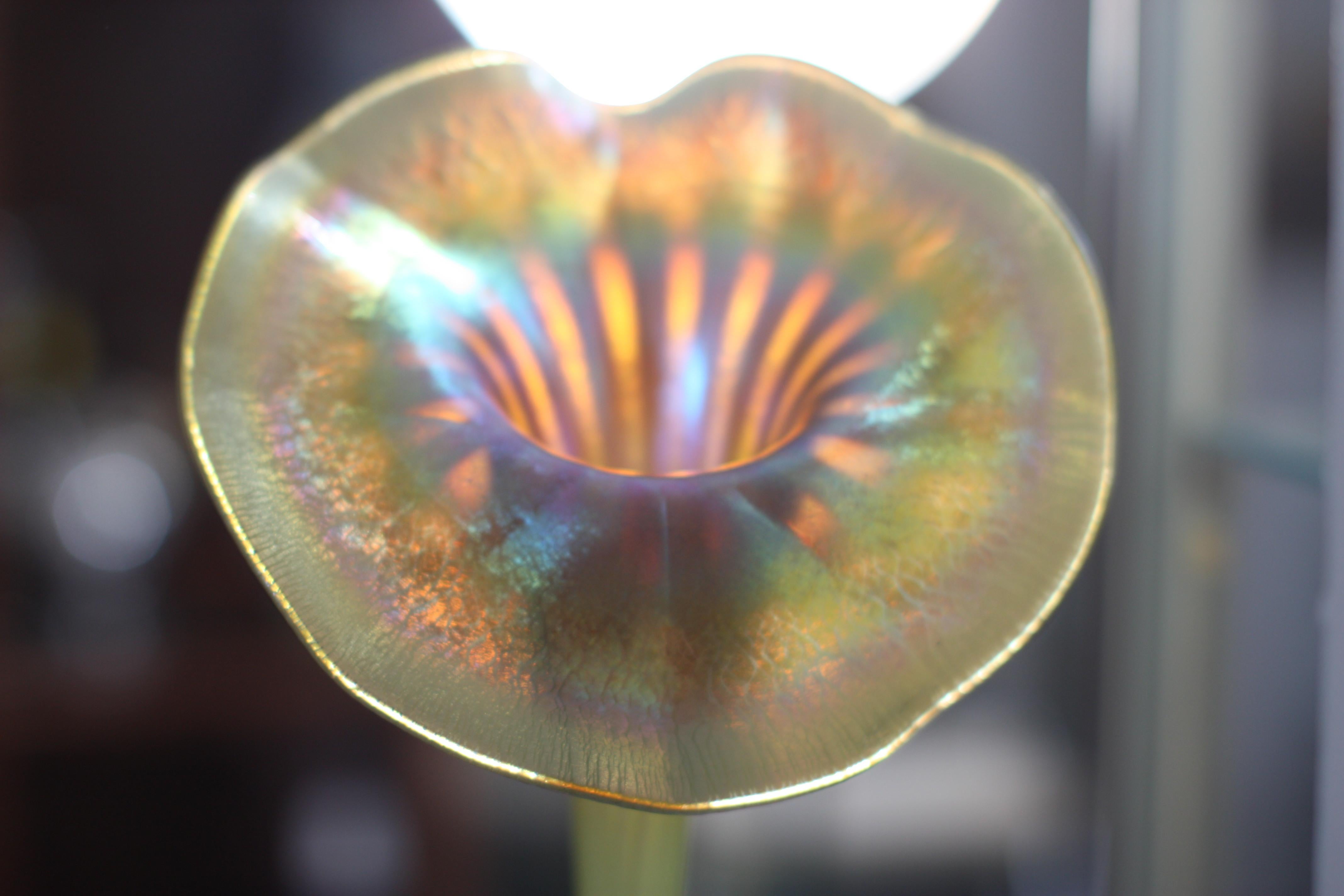 Vase en verre Tiffany Studios en forme de fleur en favrile « Jack-in-the-pulpit » en vente 11