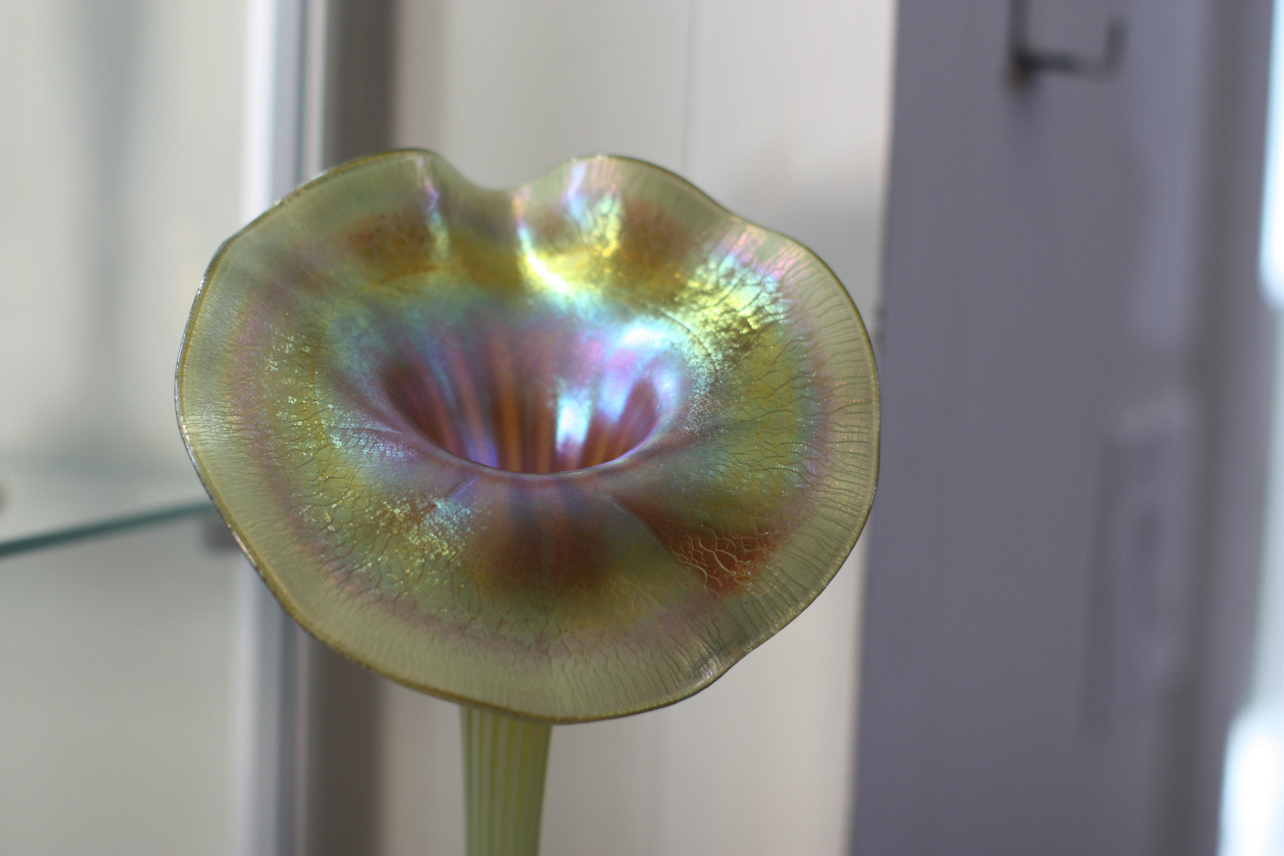 Début du 20ème siècle Vase en verre Tiffany Studios en forme de fleur en favrile « Jack-in-the-pulpit » en vente