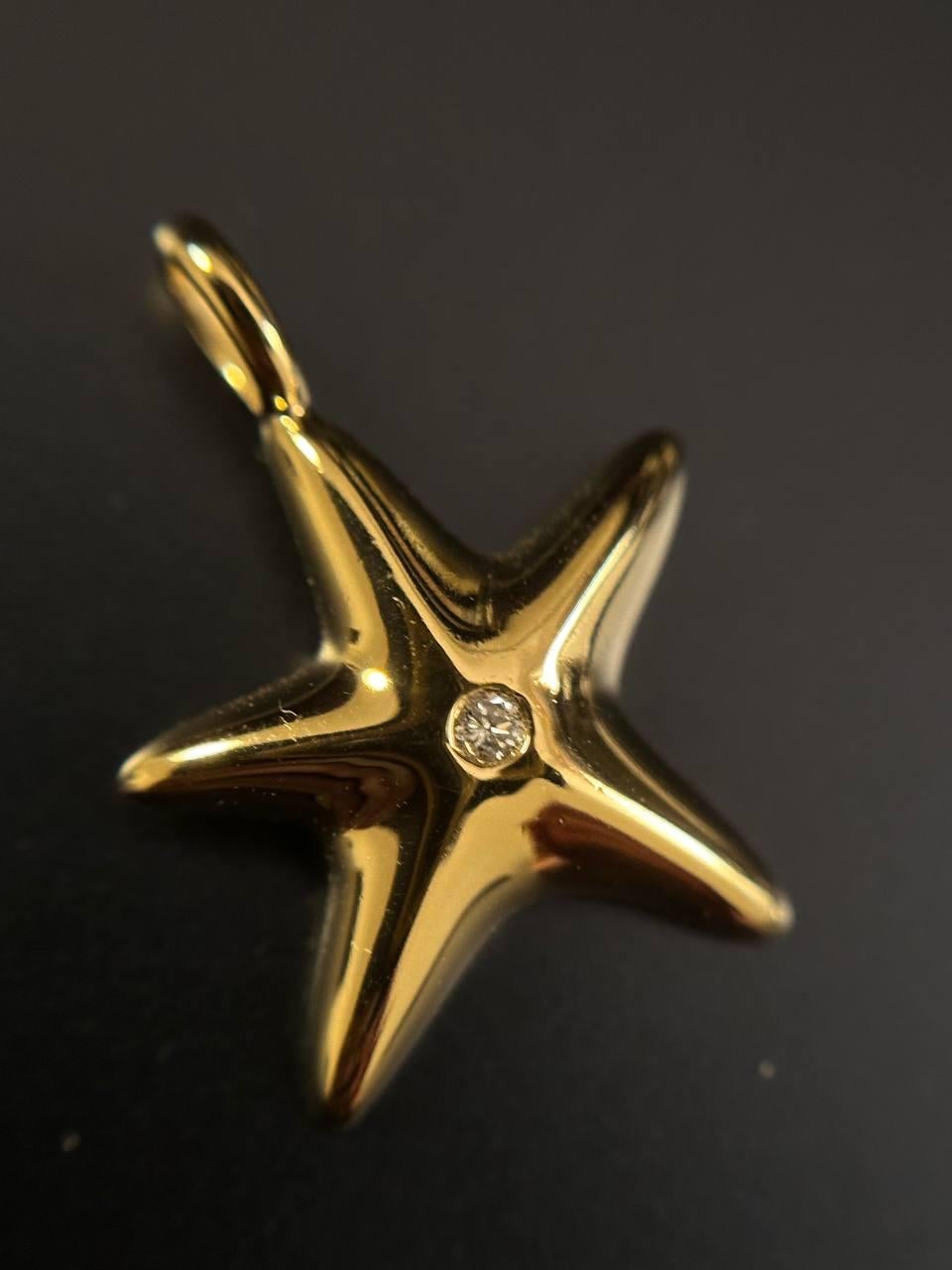 Presenting a vintage Tiffany & Co. pendant by the legendary designer Elsa Peretti, designed in the shape of a star and adorned with an exquisite diamond. This piece dates back to the 1970s and is a true rarity, boasting high collectible value.

The