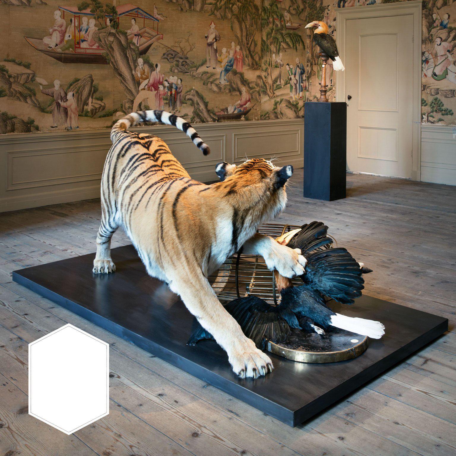 Tiger and Hornbill from Exhibition Tier at Moa by Sinke & Van Tongeren 1