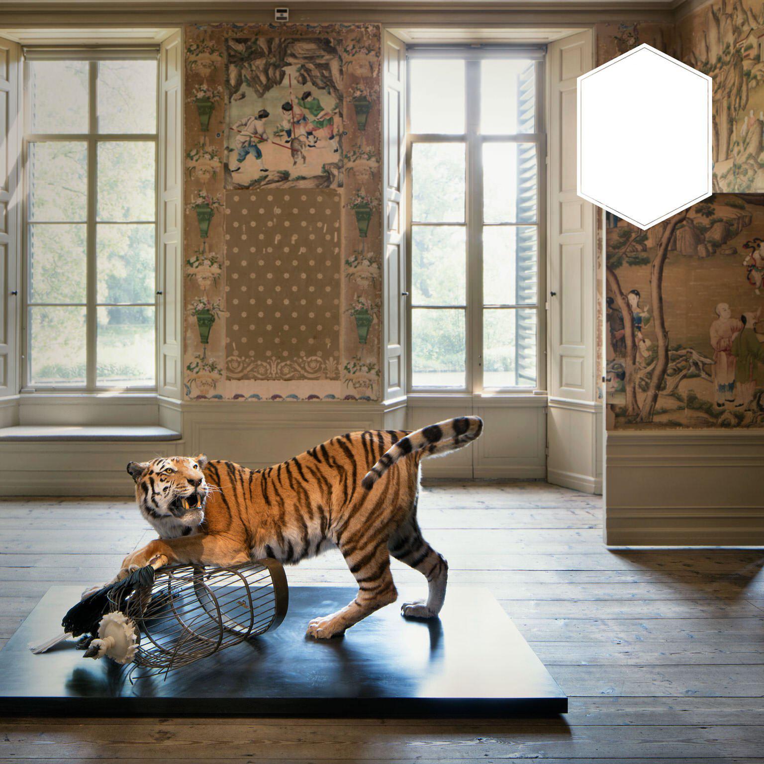 Brass Tiger and Hornbill from Exhibition Tier at Moa by Sinke & Van Tongeren
