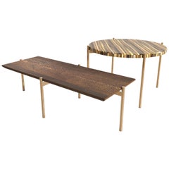Tiger Eye´s Precious Stone and Wood Tom & Tom Table Handsculpted by ELEMENT&CO