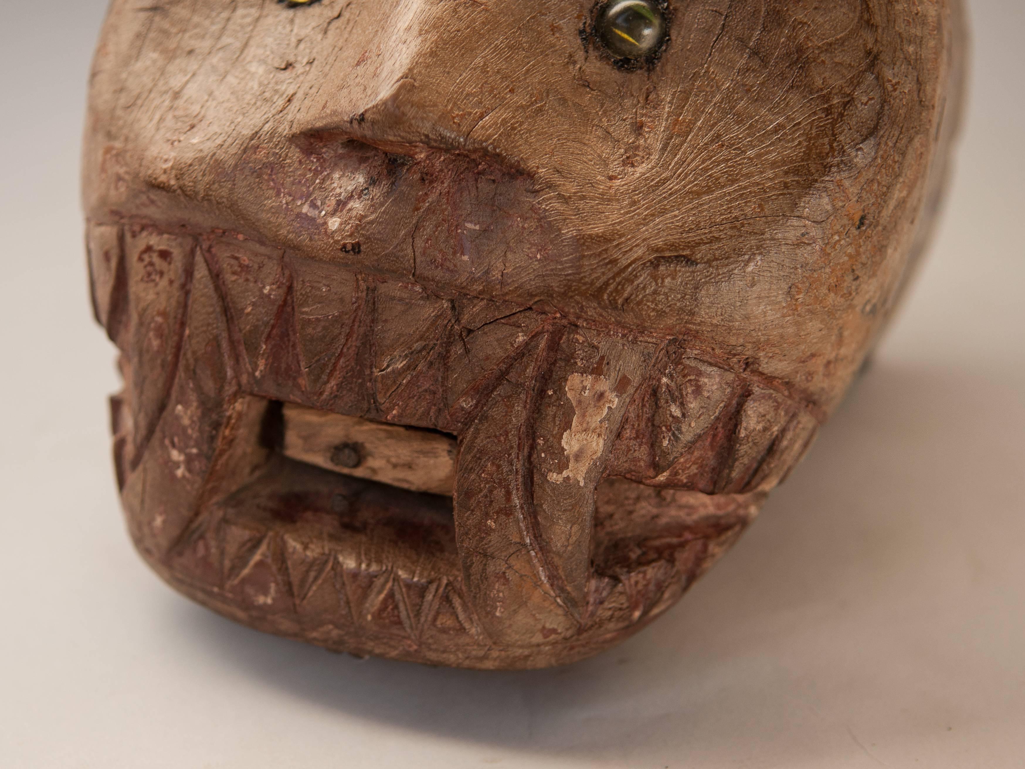 Tiger Head Carving with Glass Eyes from East Java, Teak, Mid-20th Century In Distressed Condition In Point Richmond, CA