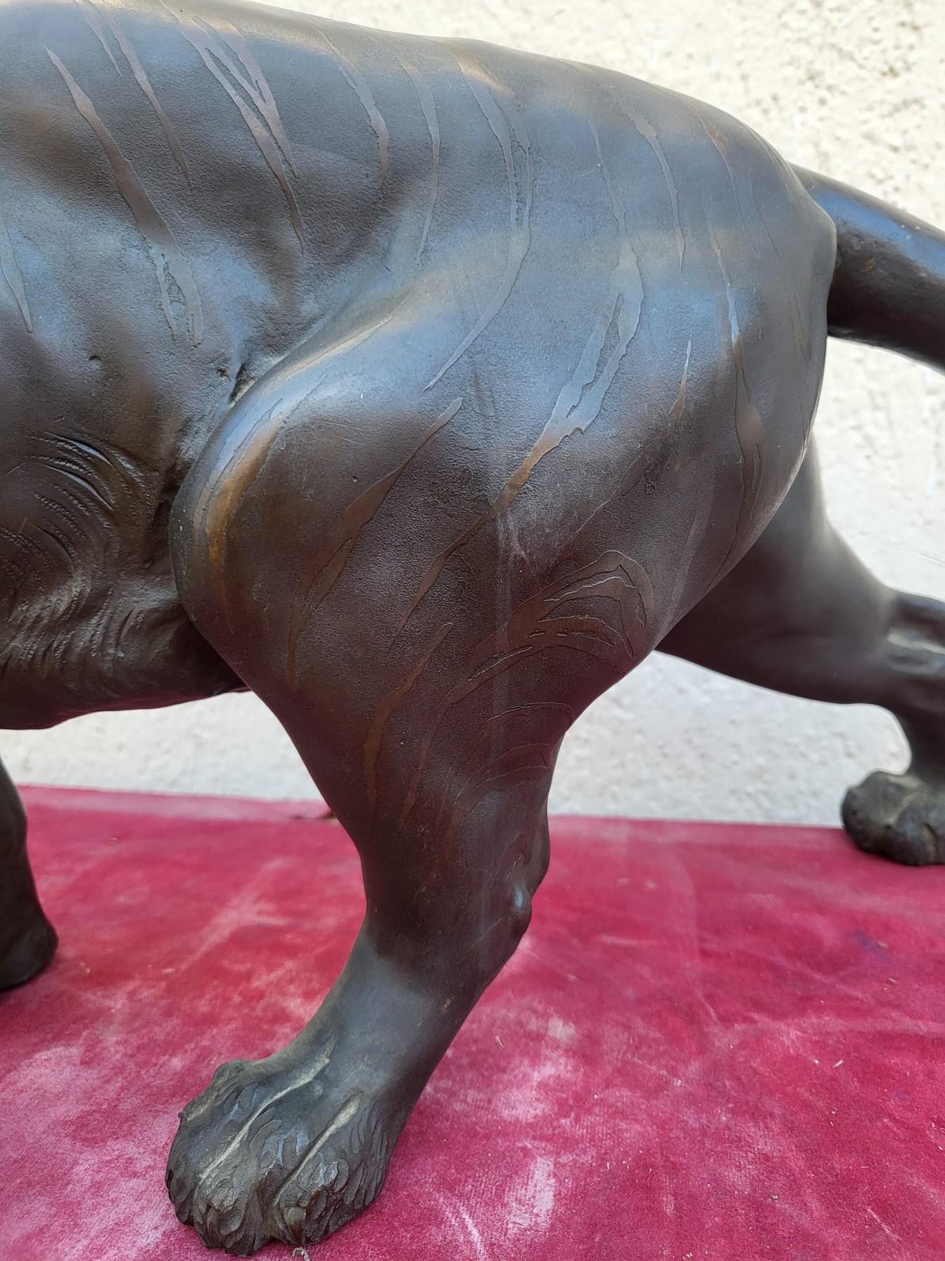 Tigre, bronzo giapponese, epoca Meiji, XIX secolo in vendita 8