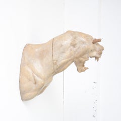 Tiger Migraine by Hans Weyers, 2008