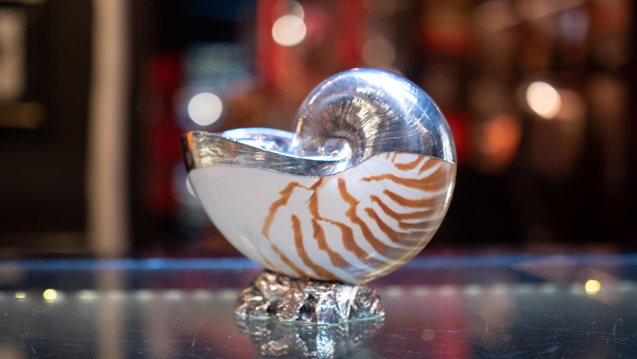 Nautilus tiger shell partially silvered candlestick holder. Creel and Gow has been working with the same atelier in Rome, Italy for over 20 years to make our signature silvered shells. Our workshop has been operated by the same family for