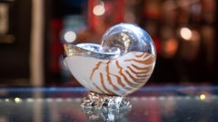 Partially Silvered Tiger Nautilus Sea Shell Candlestick or Candle Holder