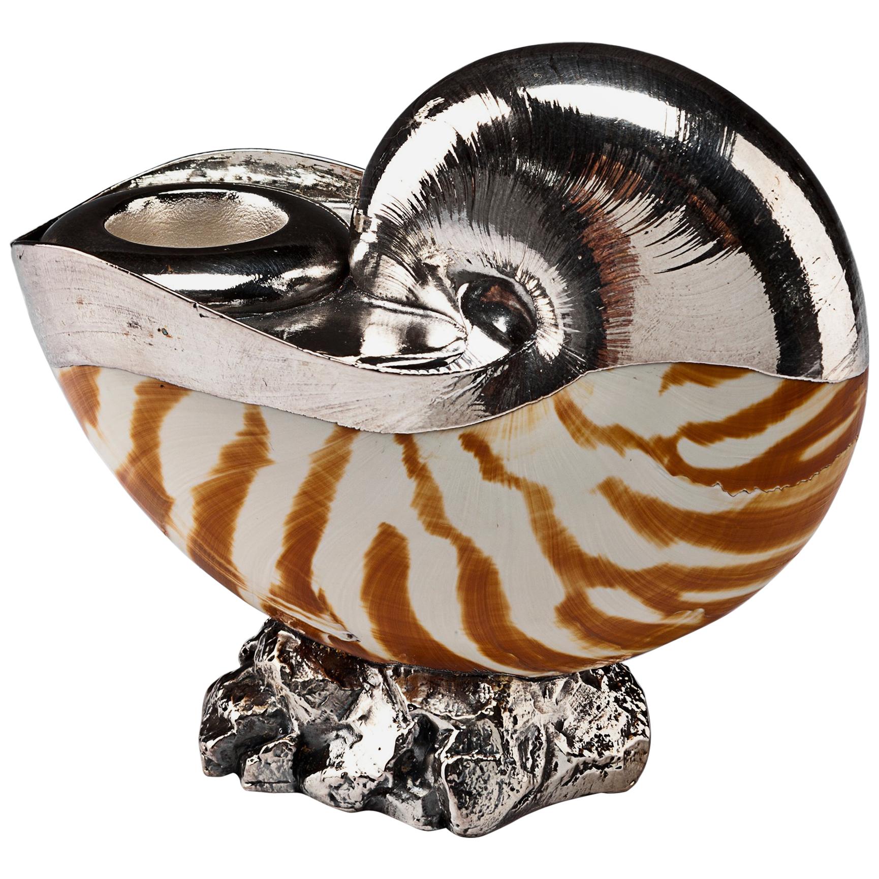 Partially Silvered Tiger Nautilus Sea Shell Candlestick or Candle Holder