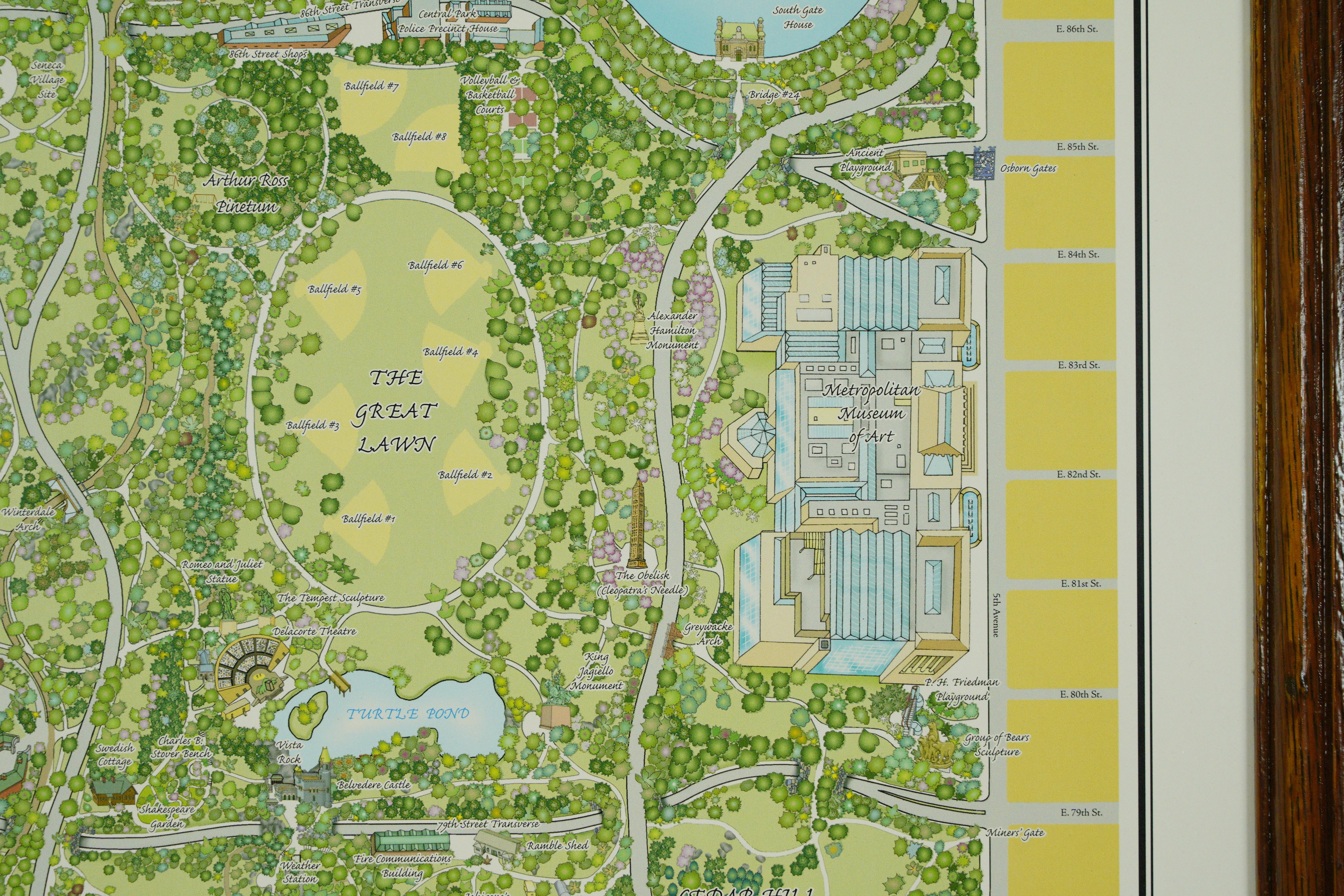 Contemporary Tiger Oak Wood Molding Framed Central Park Print