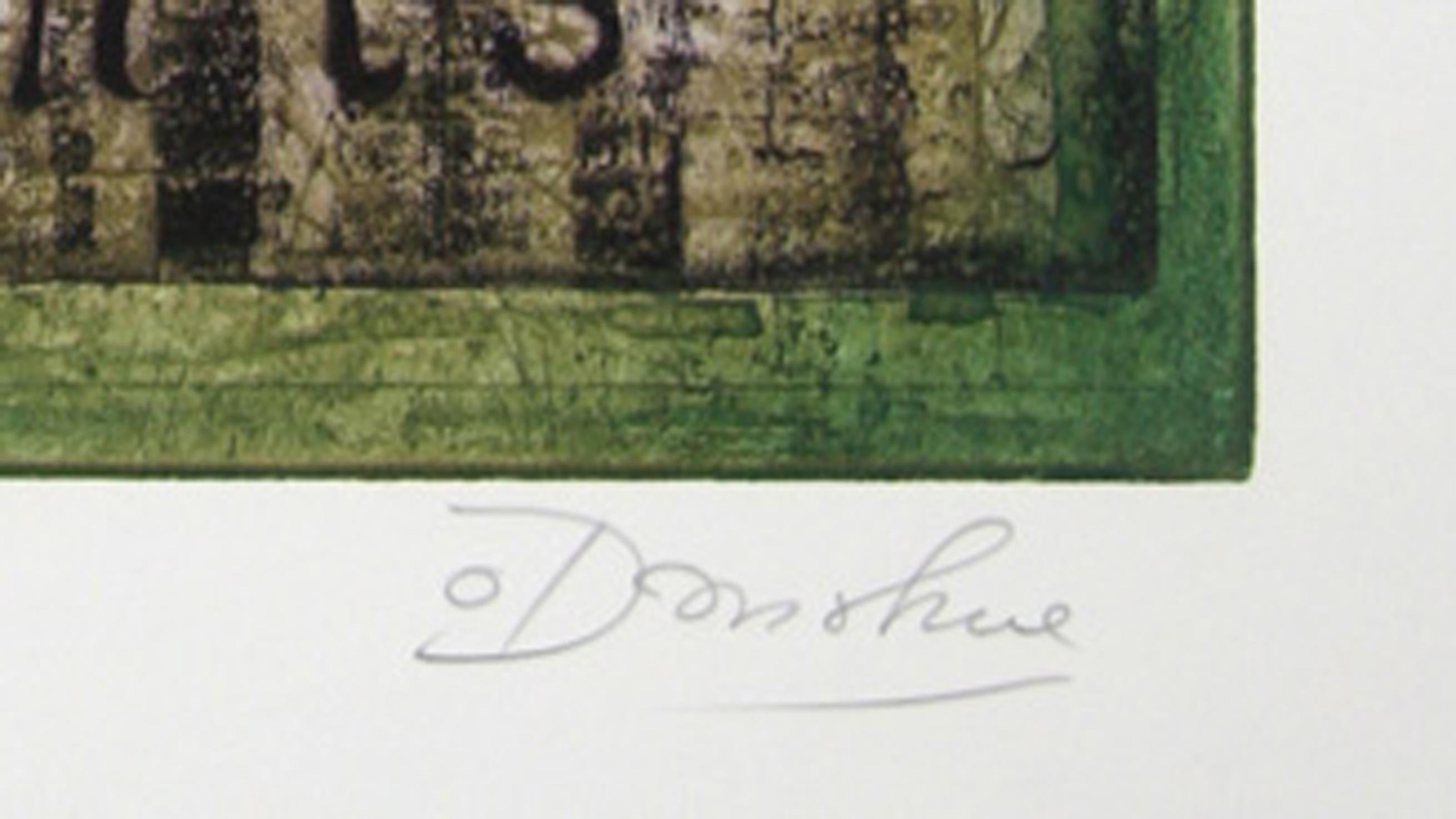 Gravure à l'aquatinte de Tighe O'Donoghue en vente 4