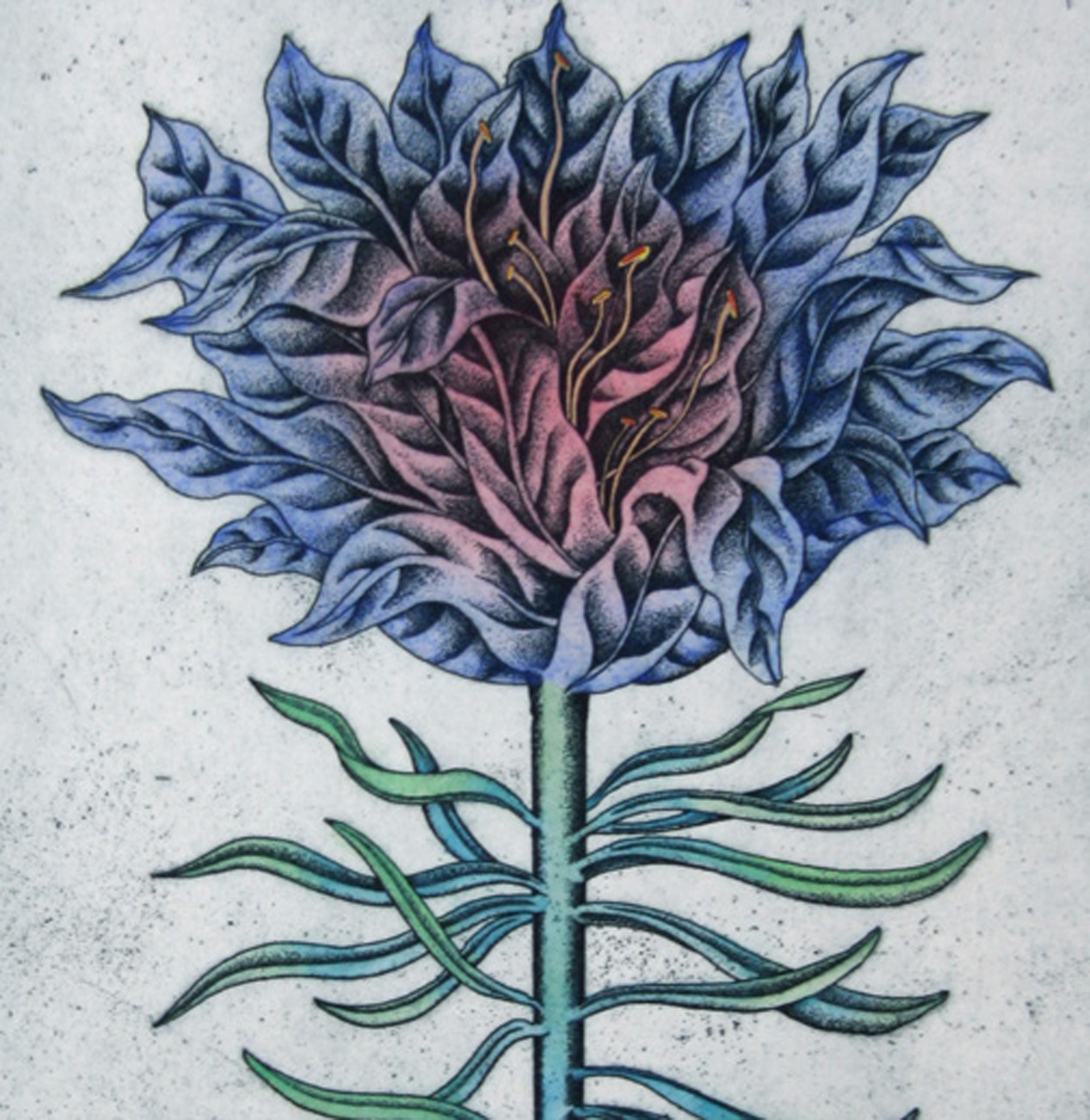 Arboretum - Ramage, Aquatint Etching by Tighe O'Donoghue For Sale 1