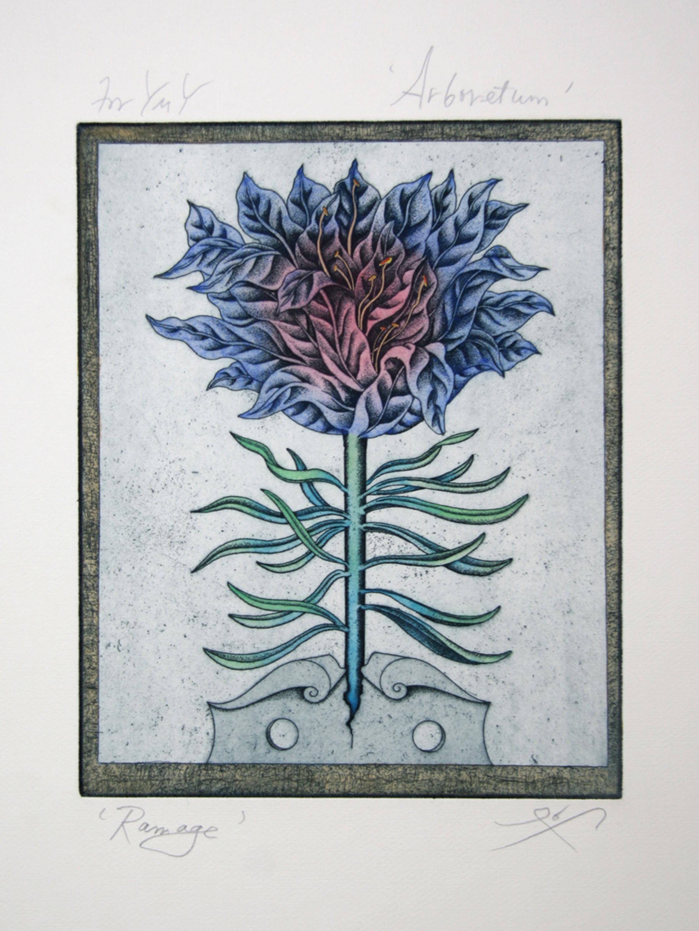 Arboretum - Ramage, acquaforte all'acquatinta di Tighe O'Donoghue