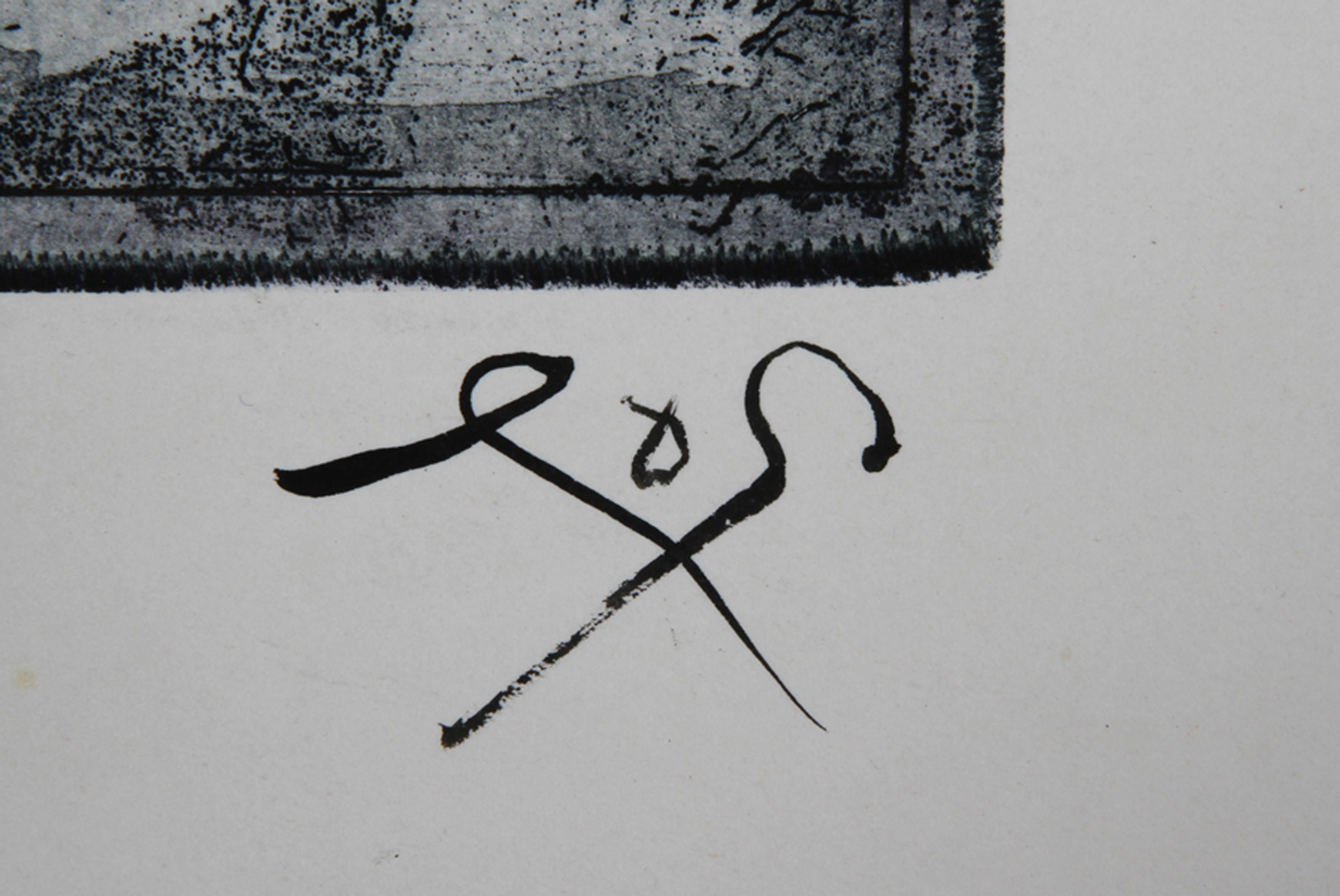 Ariel (variant), Aquatint Etching by Tighe O'Donoghue For Sale 3