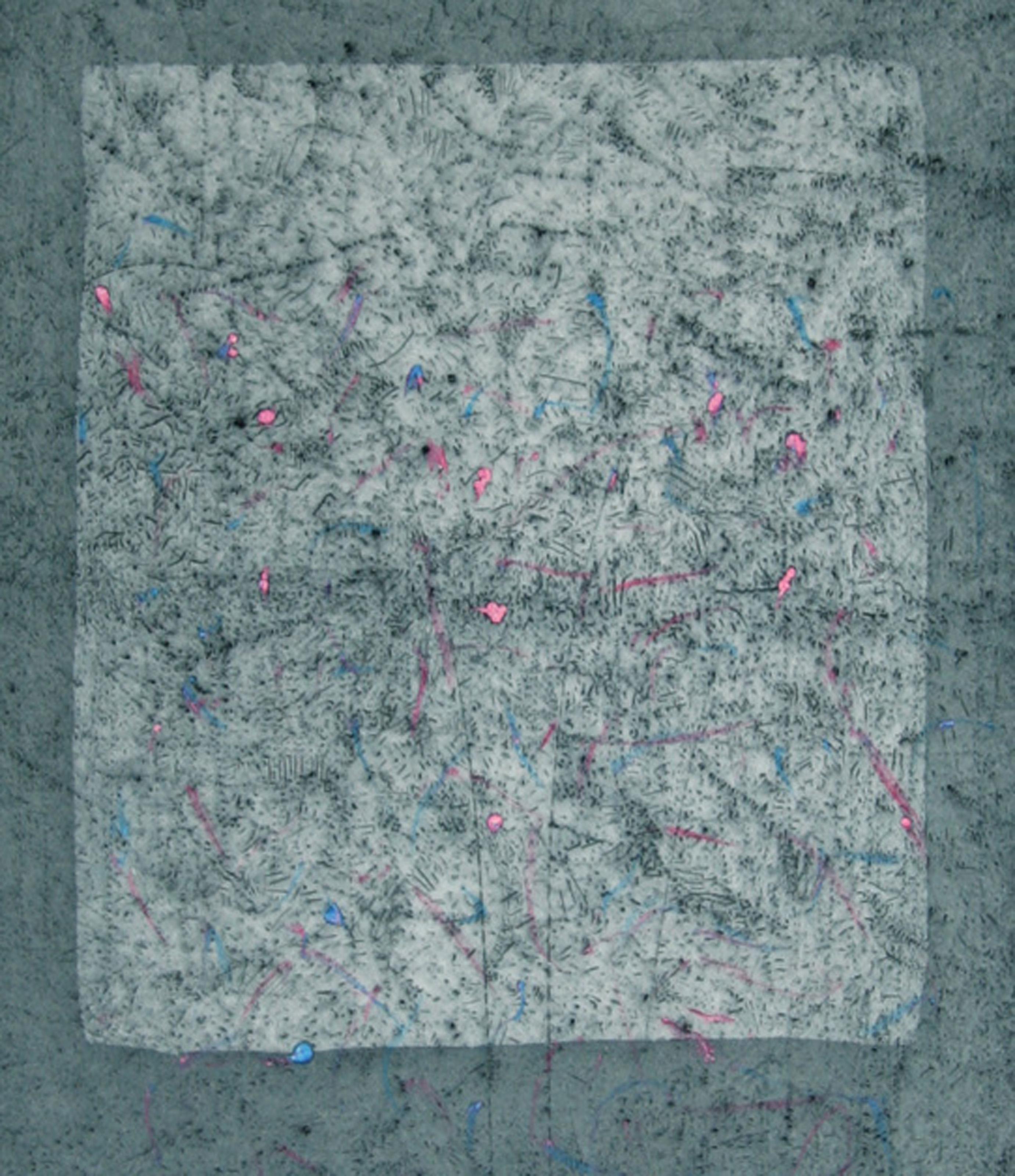 Dialects of Paradise #2, Aquatint Etching by Tighe O'Donoghue For Sale 1