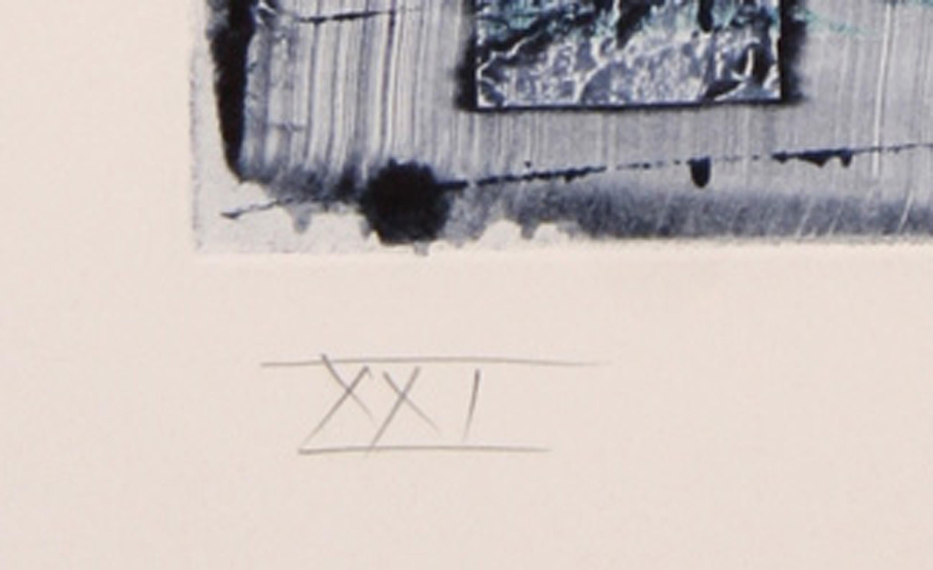 Dialects of Paradise I - Darker, Aquatint Etching by Tighe O'Donoghue For Sale 2